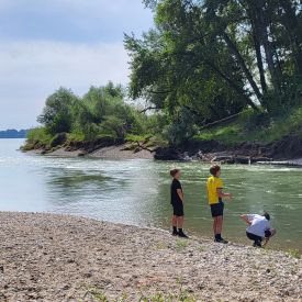 am strom 275x275 am strom 275x275