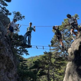 klettern3 Survival Erlebnis Camp klettern3 275x275