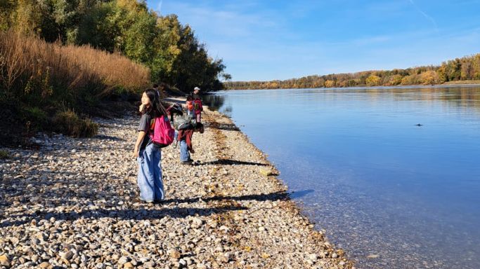 an der donau das legendäre outdoorcamp