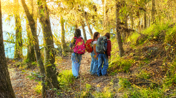mangrovenwald das legendäre outdoorcamp